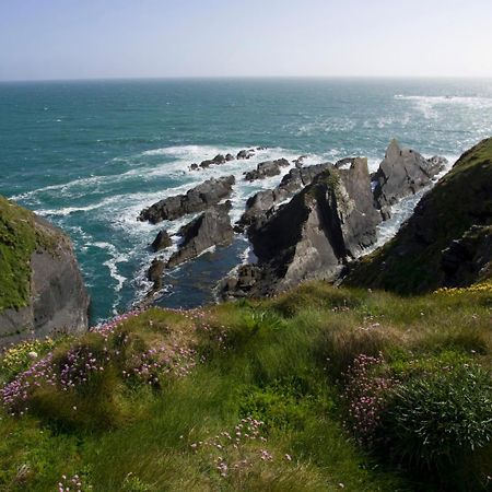 Galley Head Lightkeeper'S Houses Donoure 外观 照片