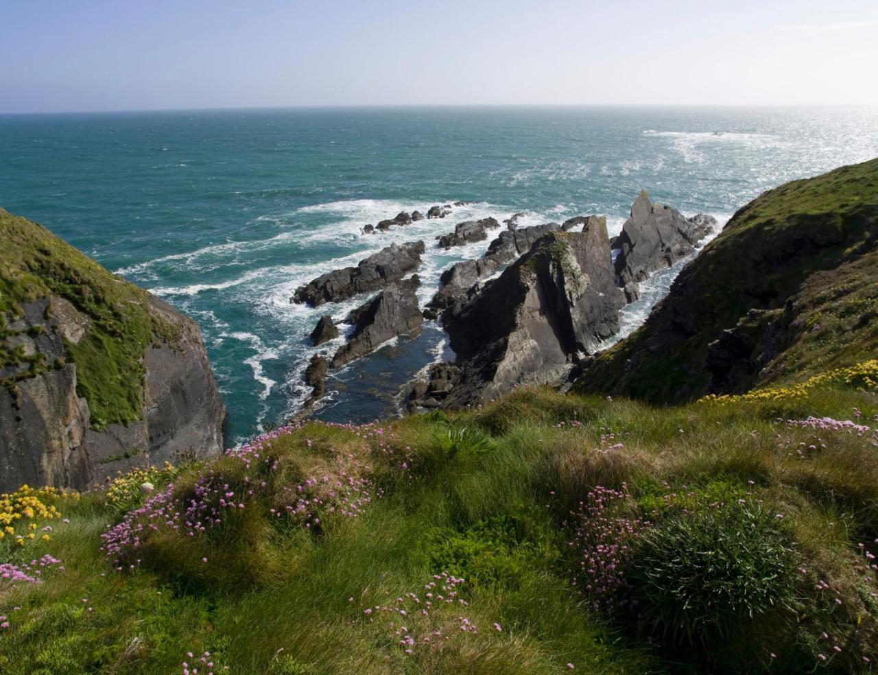 Galley Head Lightkeeper'S Houses Donoure 外观 照片
